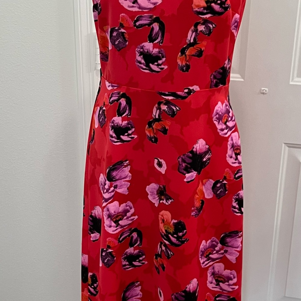 Banana Republic Spring/Summer Red Orange Floral Dress